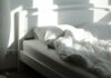 An empty bed and floor lamp in morning sunlight