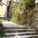 Stone steps leading up to an ivy-covered building
